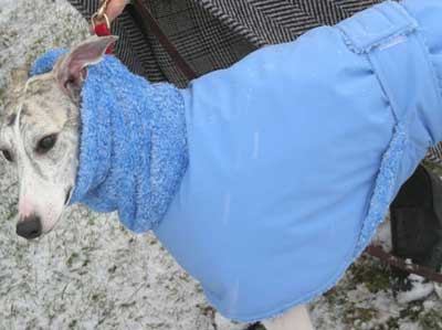Snow Angel Dog Coat