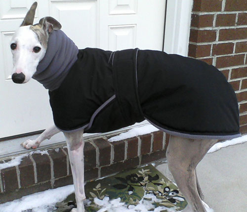 gray fleece dog winter coat
