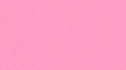 pink shammy