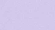 purple shammy