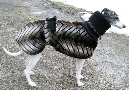 chinchilla fake fur dog coat