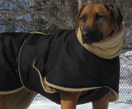 Rhodesian ridgeback winter clothing hot sale uk