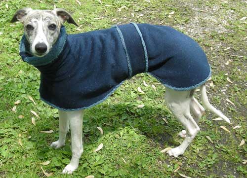 fleece dog coat - blue