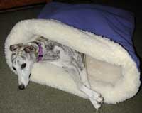 pita bed - a sleeping bag for dogs