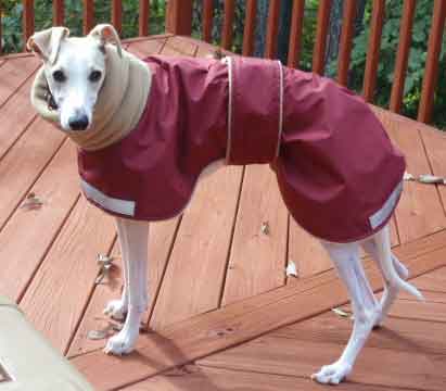 red warm dog coat - beau